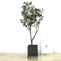 uploads/erp/collection/images/Home Garden/dgjiawang/XU0613025/img_b/XU0613025_img_b_3